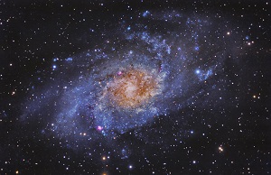 M33