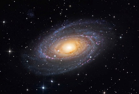 M81