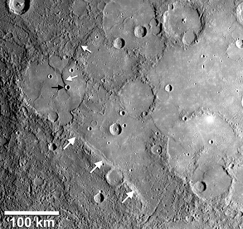 Mercury lobate scarps