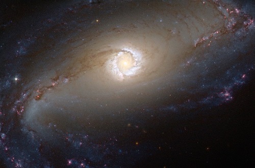 Seyfert Galaxy