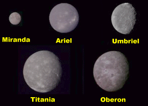 Uranus 5 large moons