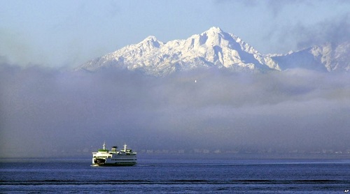 fog bank