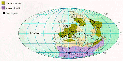 carboniferous coal