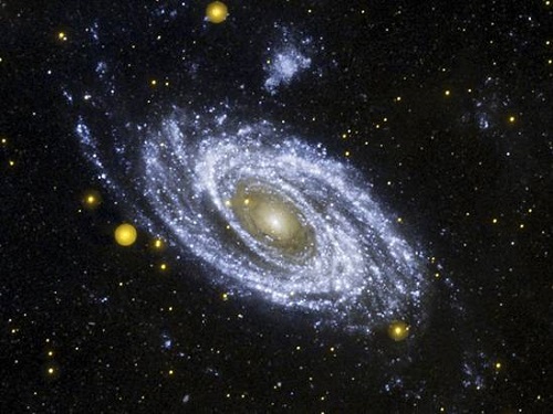 M81