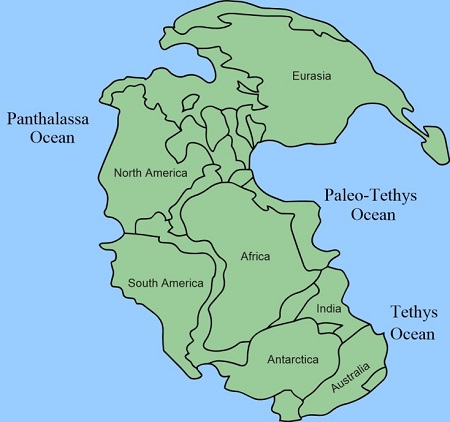 Pangea