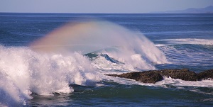 ocean spray rainbow