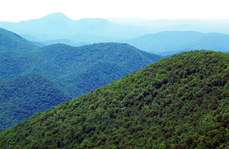 Appalachians