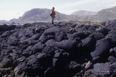 pillow lava land