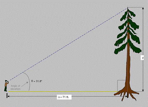 triangulation