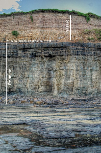 permian extinction layer