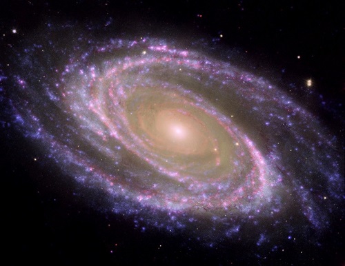 M81