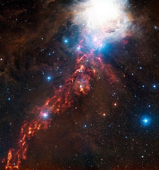 Orion filament