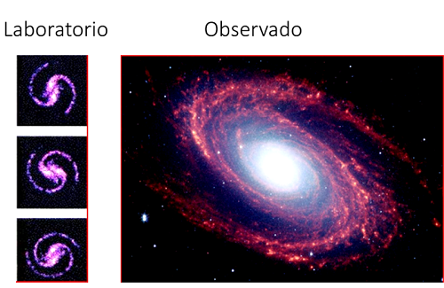 lab and observedYT1