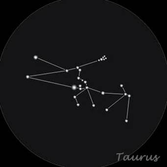 taurus