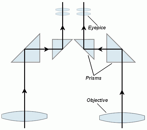 binocs diagram