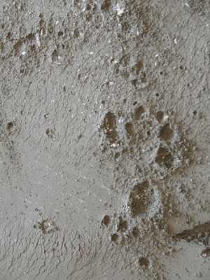 plaster 2