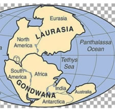 supercontinent