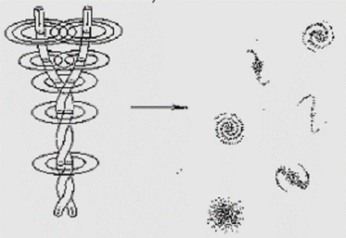 Birkeland Currents 2