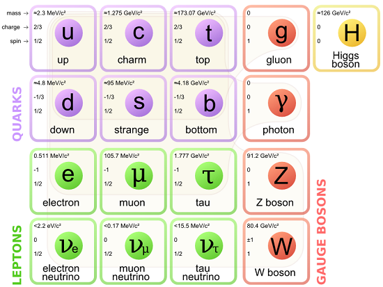 standard model particles